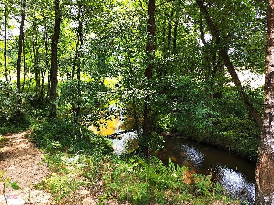 Mała Panew- śląska Amazonka