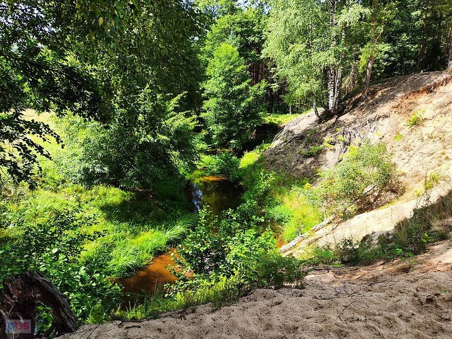 Mała Panew- śląska Amazonka