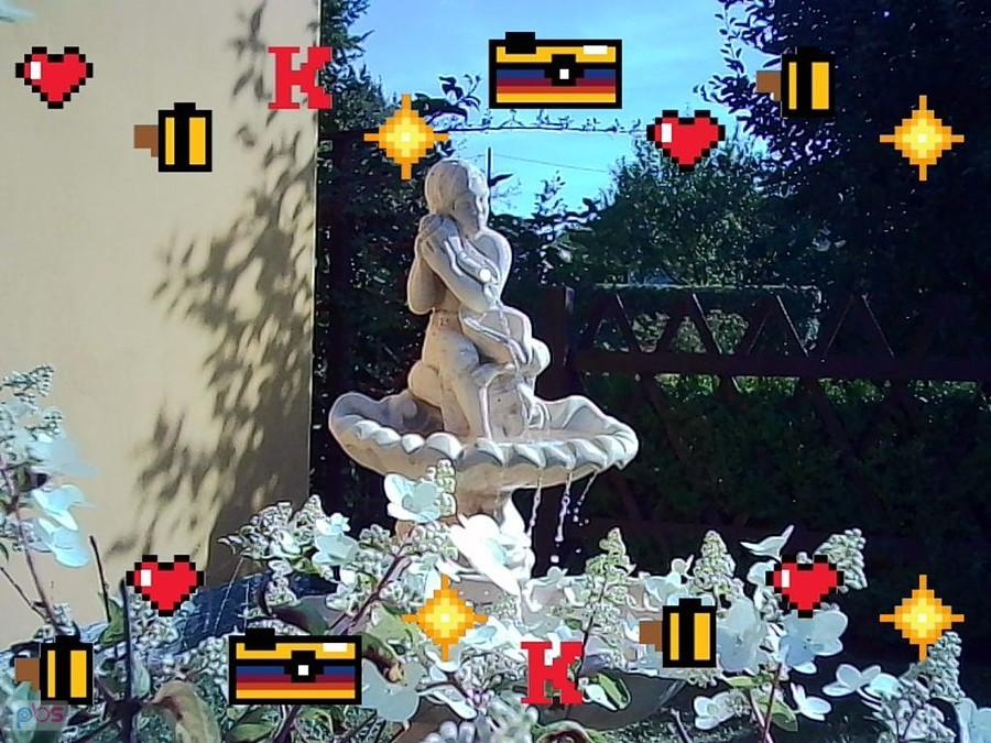 kodakiem na działce