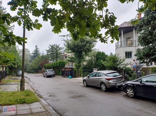 Widok spod drzewa