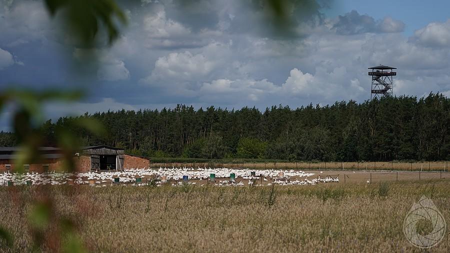 wieża strażnicza przy obozie gęś-tracyjnym