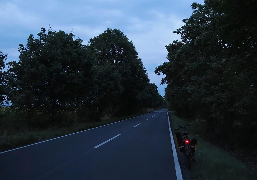 W półmroku, z trasy Drzeńsko - Rzepin