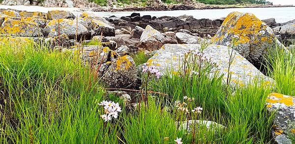 Bornholm. Okolice Sandkas nad morzem
