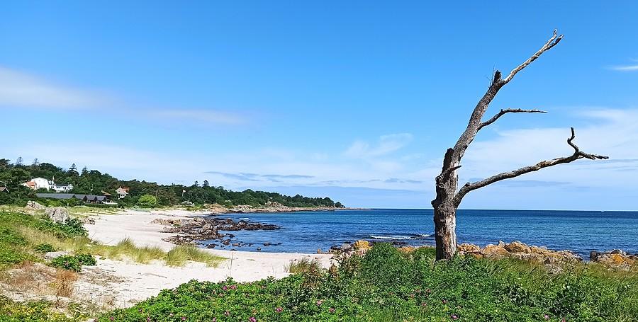 Bornholm. Plaża w Sandkas