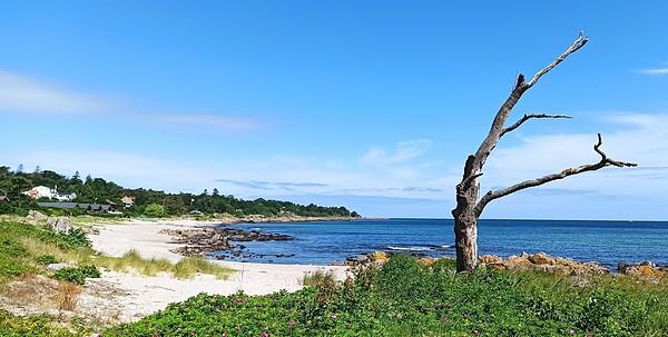 Bornholm. Plaża w Sandkas