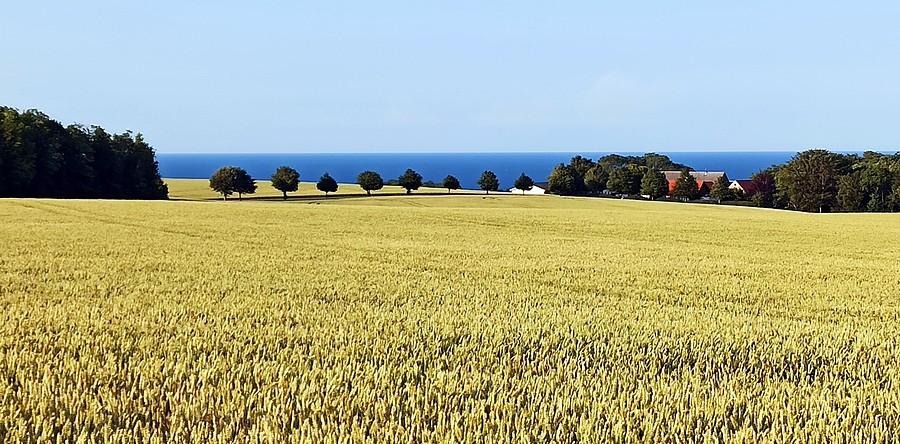 Bornholm