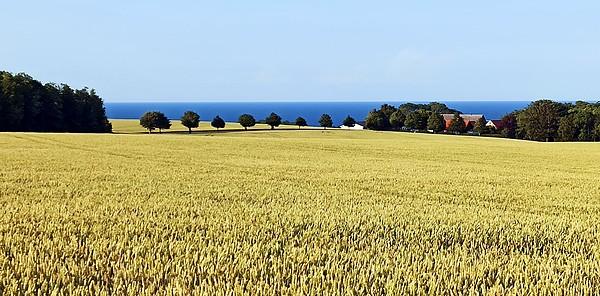 Bornholm