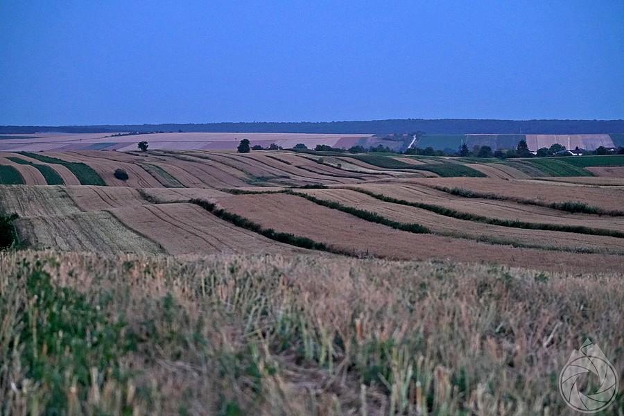 pofalowane pola podszczebrzeszyńskie