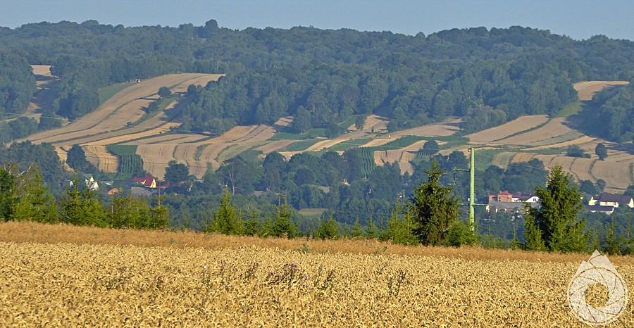 pagóry roztoczańskie koło Szczebrzeszyna