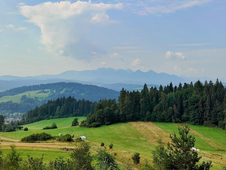 Tatry z Przełęczy Osice.