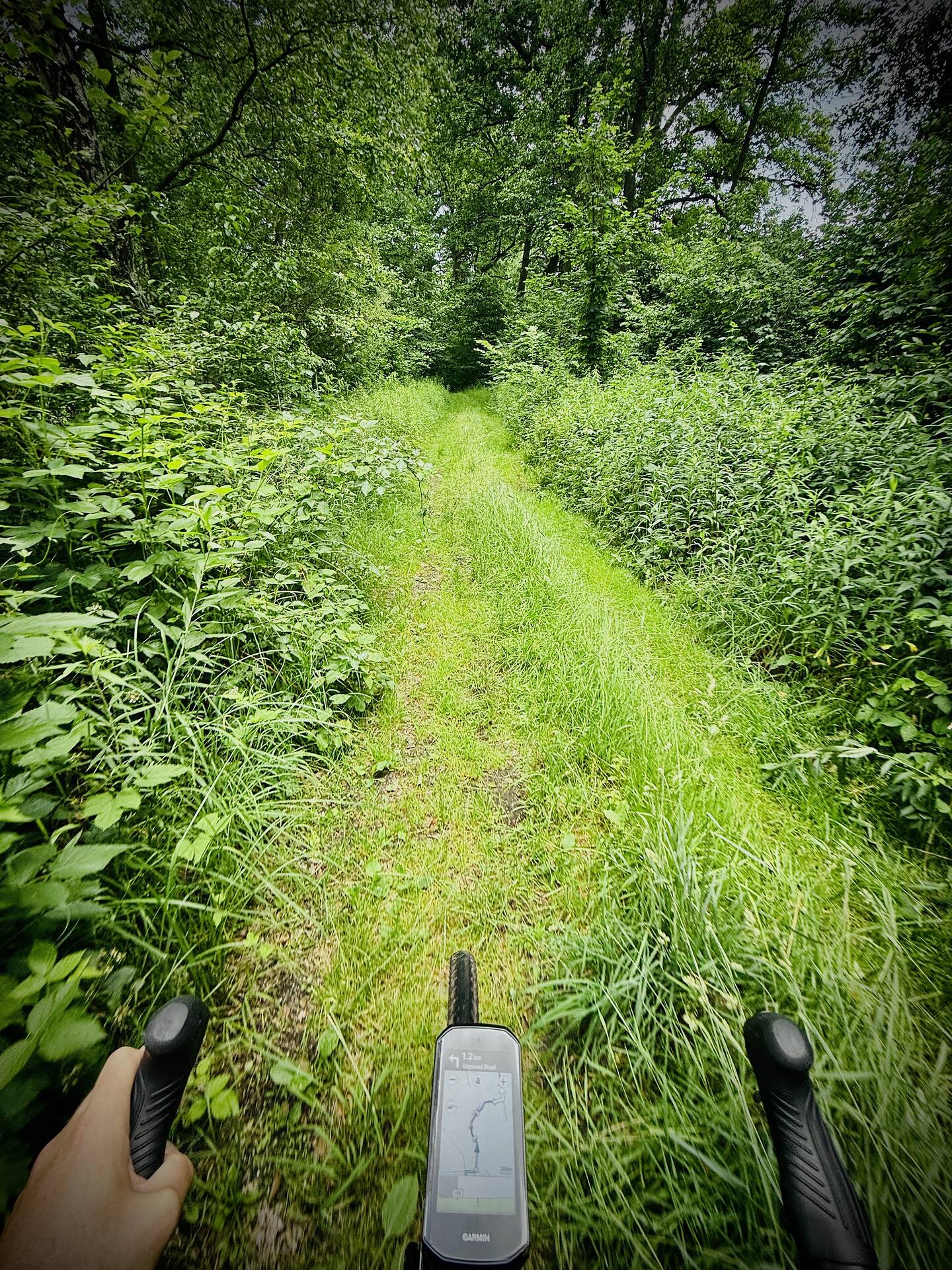 Leśna ścieżka rowerowa widziana z perspektywy kierownicy