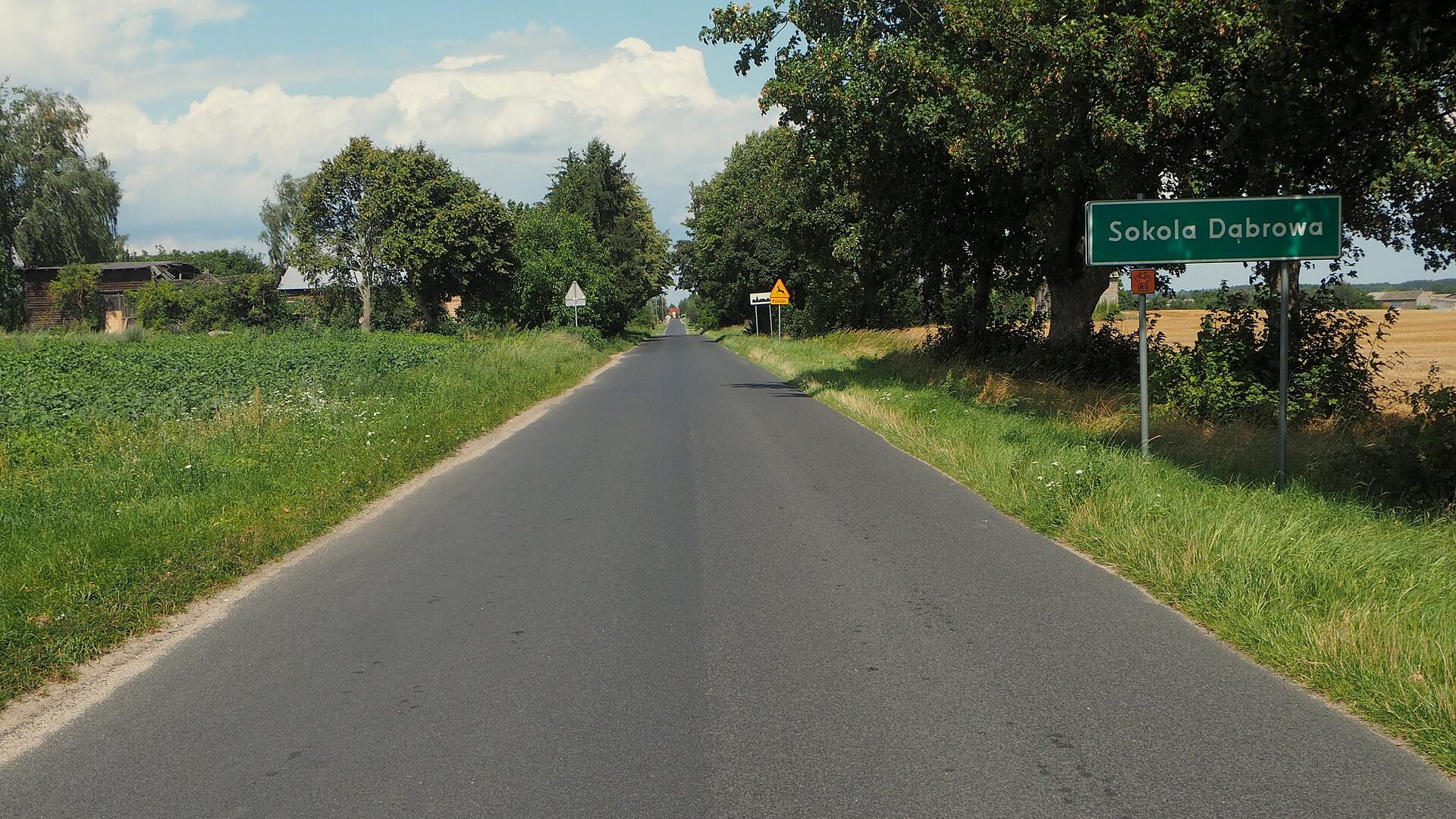 Droga prowadząca do Sokola Dąbrowa
