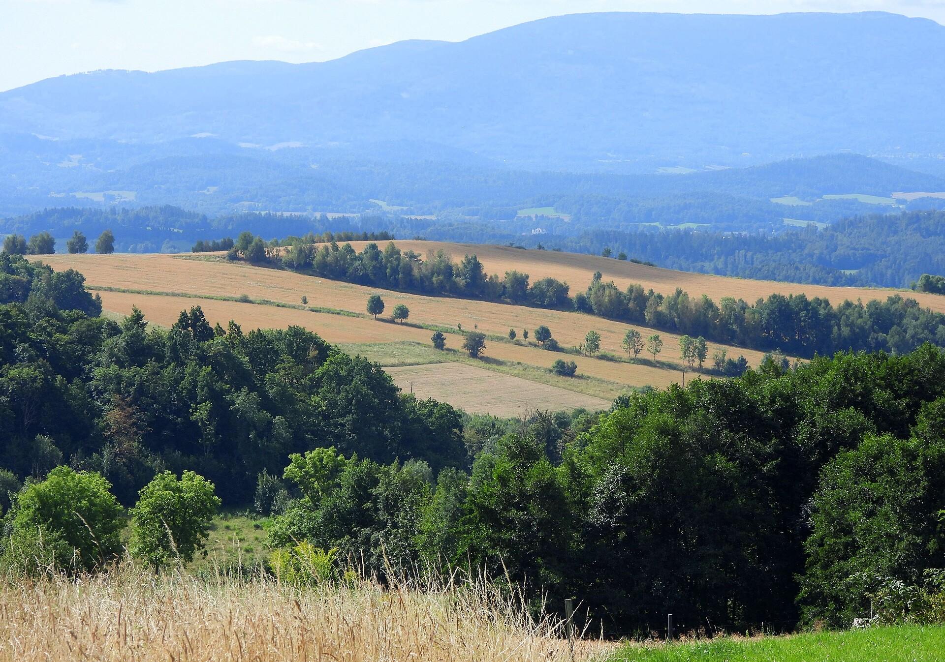 Pola na tle Karkonoszy
