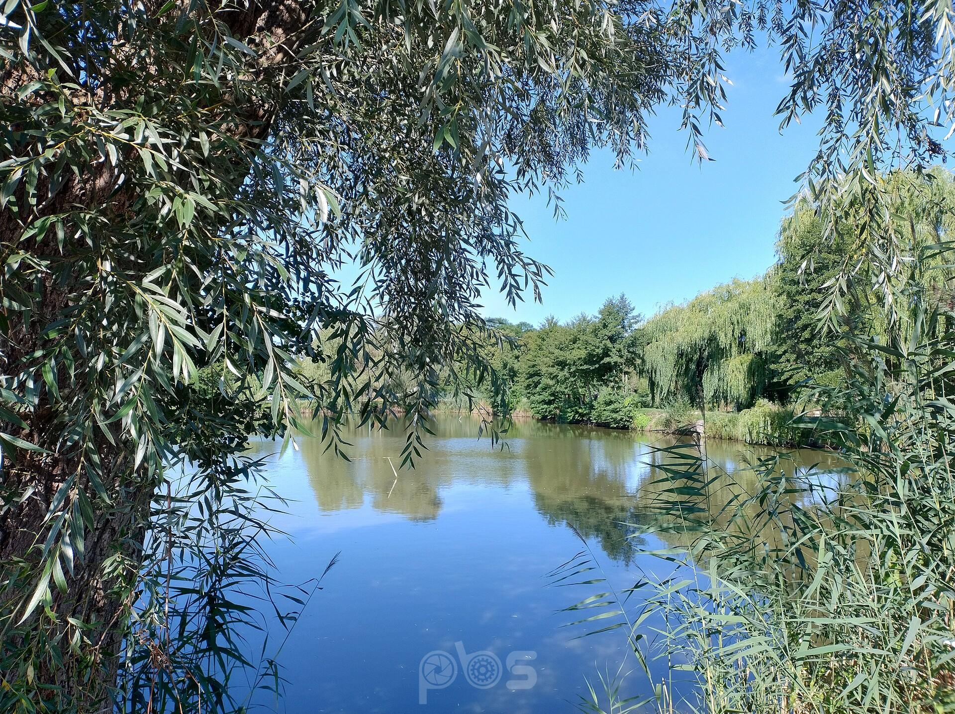 Staw w Zielonkach