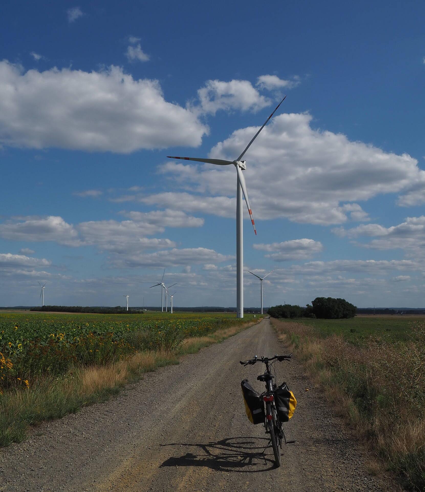 Przez farmę wiatrową