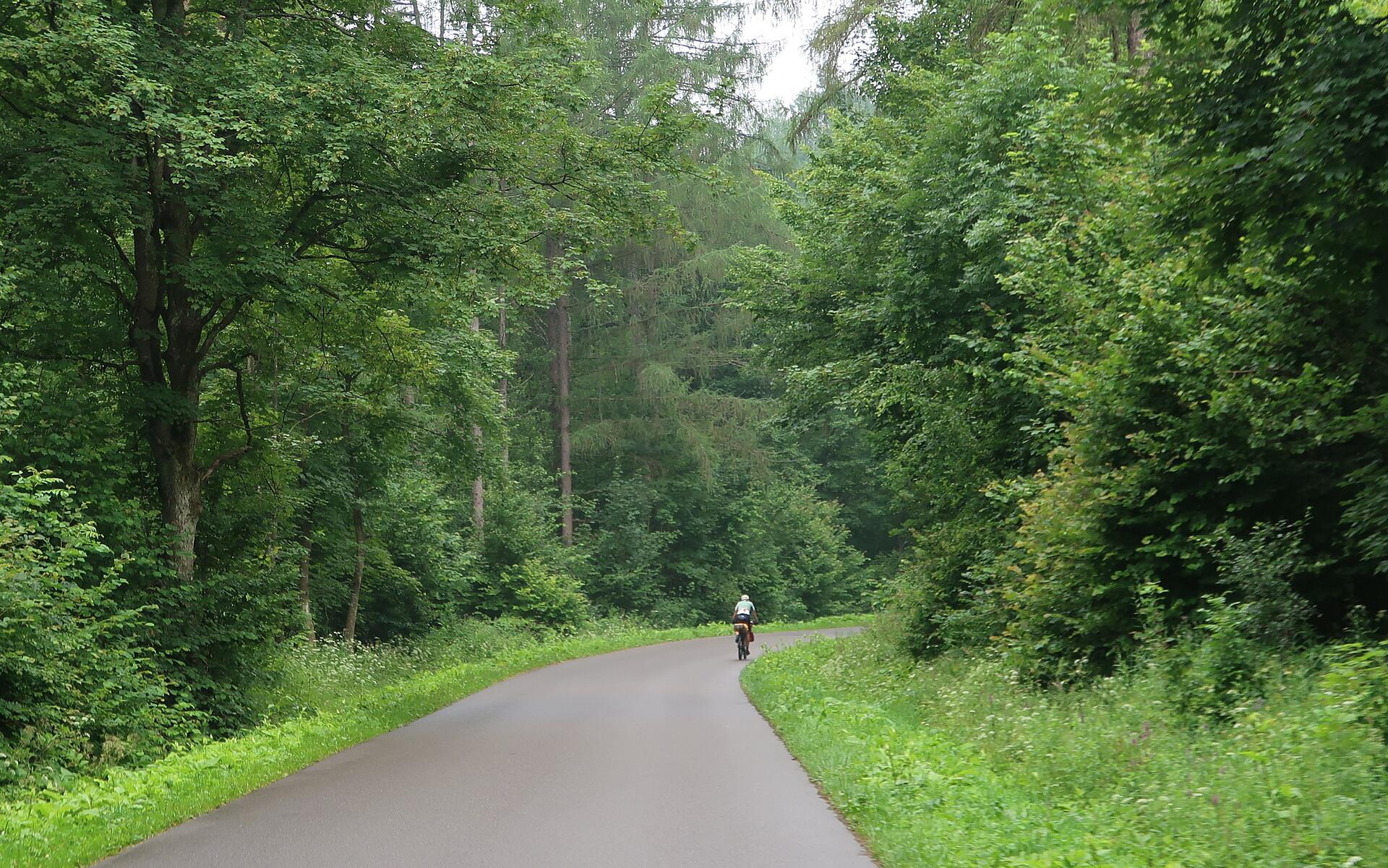 Wśród soczystej zieleni