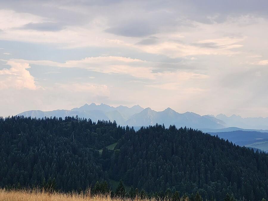 Tatry z polany Majerz