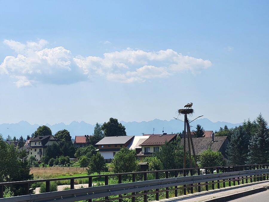 Bociany i Tatry