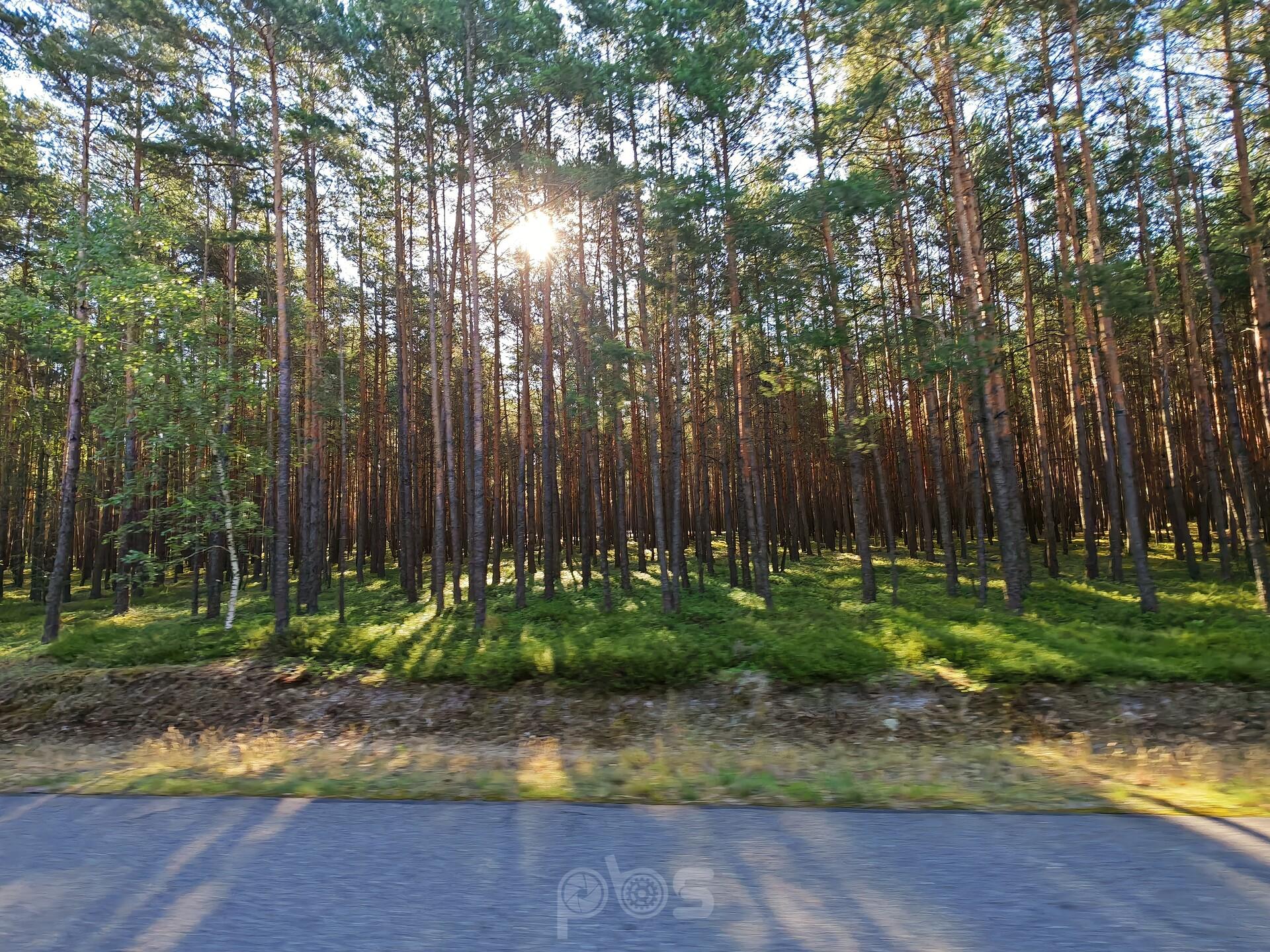 Las
