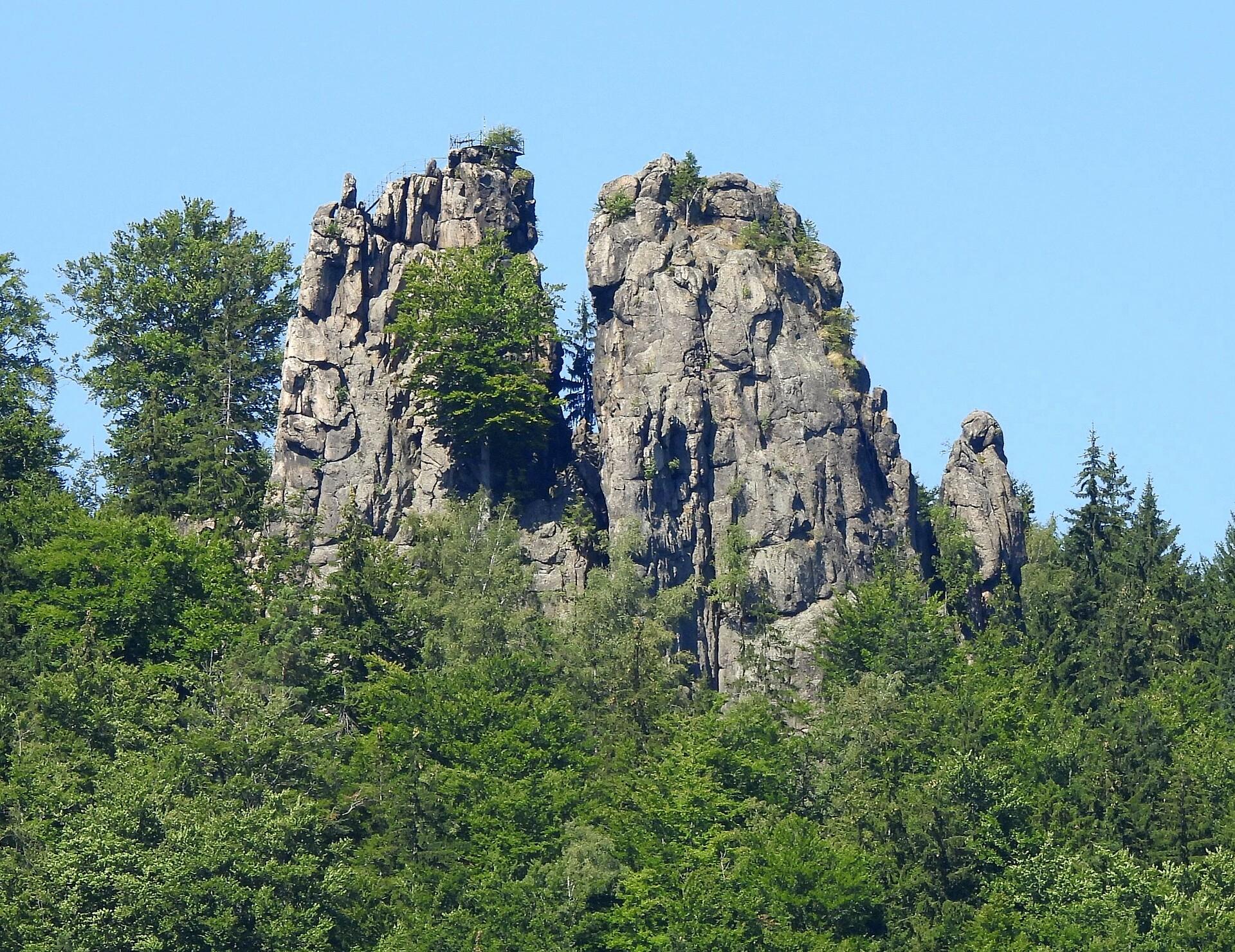 Sokoliki w zbliżeniu