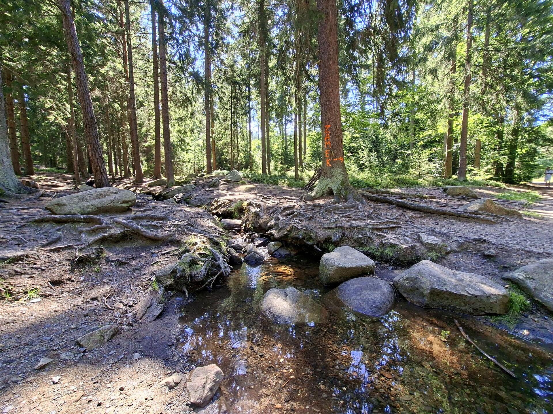 Rudawski strumyk