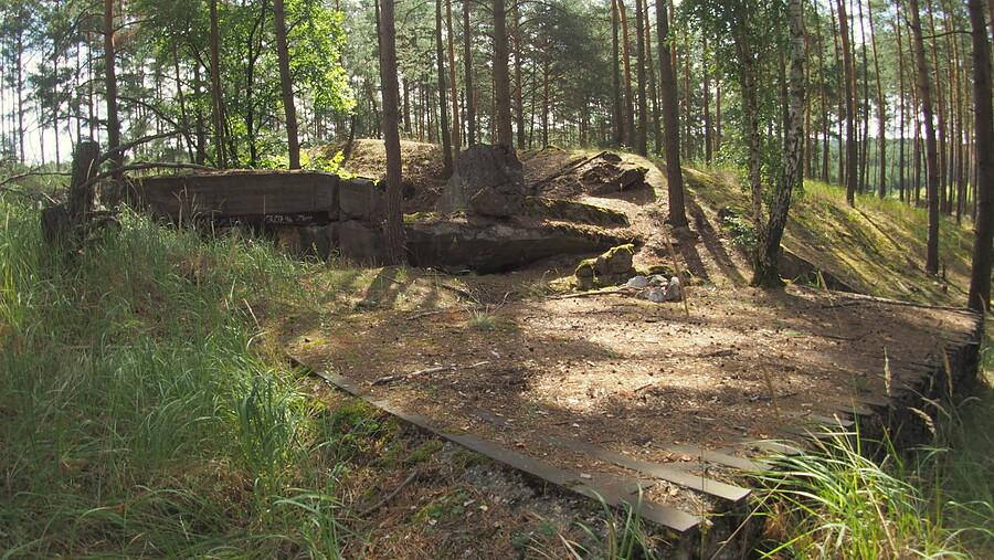 Ruiny betonowej konstrukcji w lesie