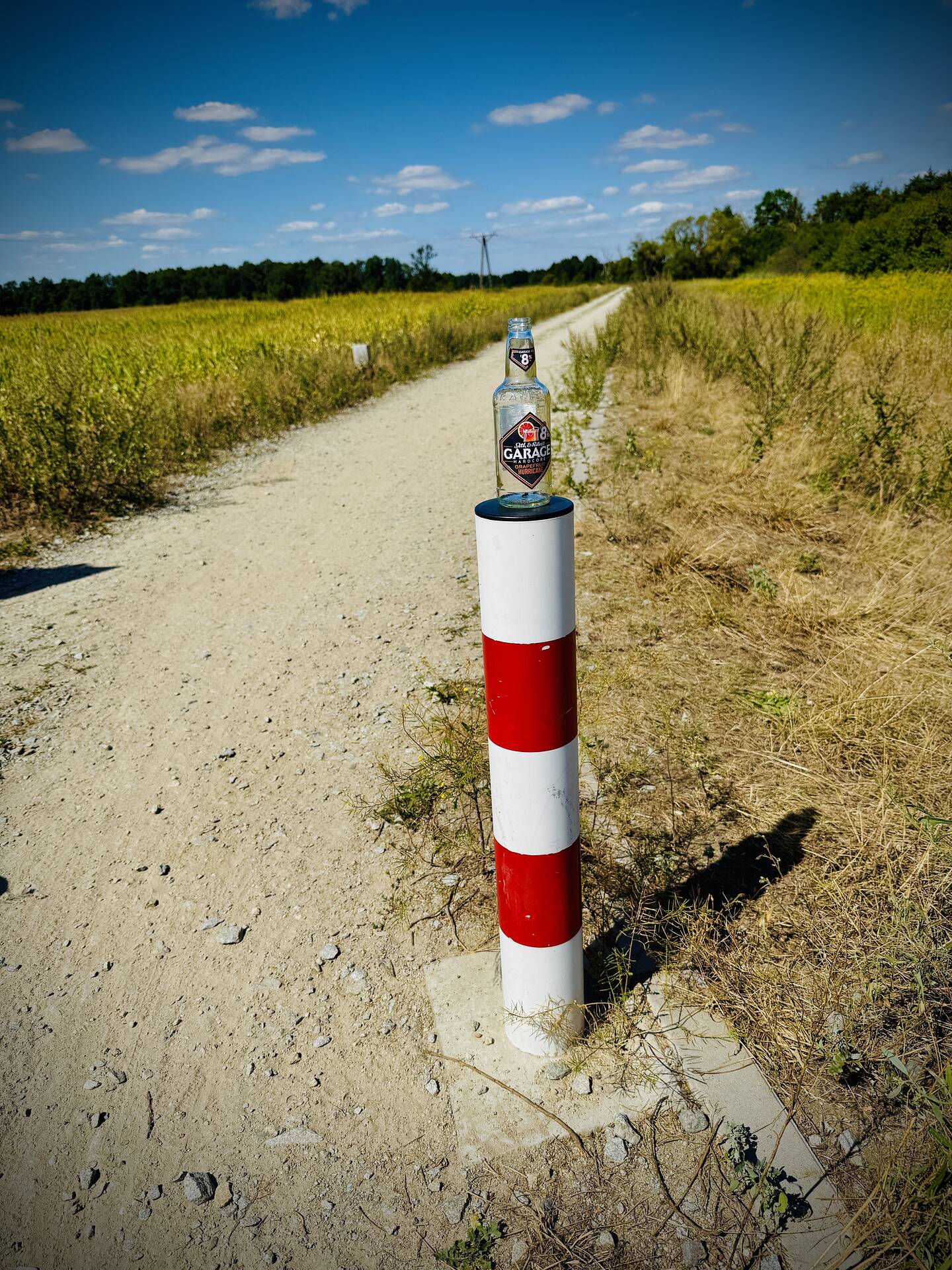 Śmieci śmiecą na wałach pod Wrocławiem