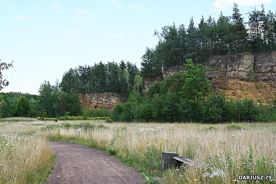 Arboretum Park Gródek - Jaworzno