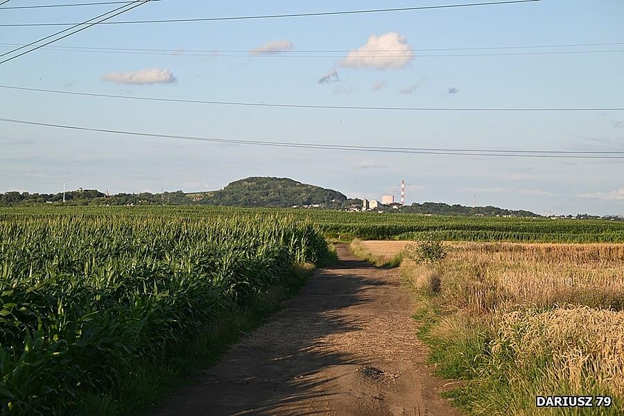 Sośnia Góra - Przełajka