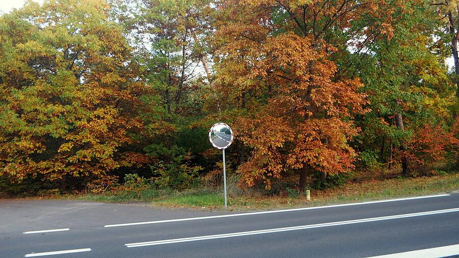 Złota jesień