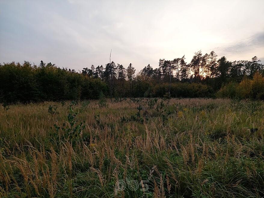 Jesień ach to ty.
