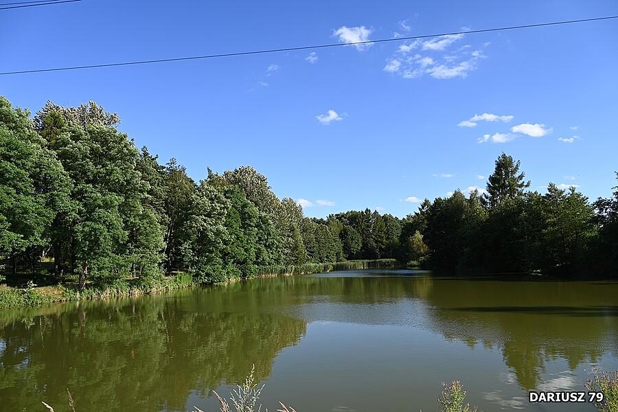 Jezioro w lesie