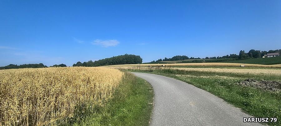 Pogórze Wiśnickie