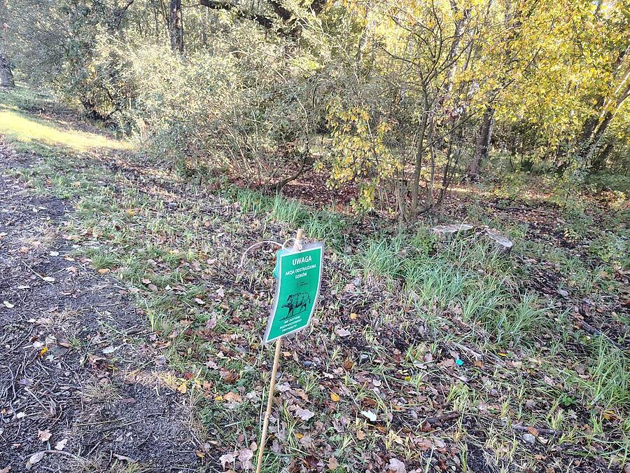 Środek zapachowy odstraszający dziki