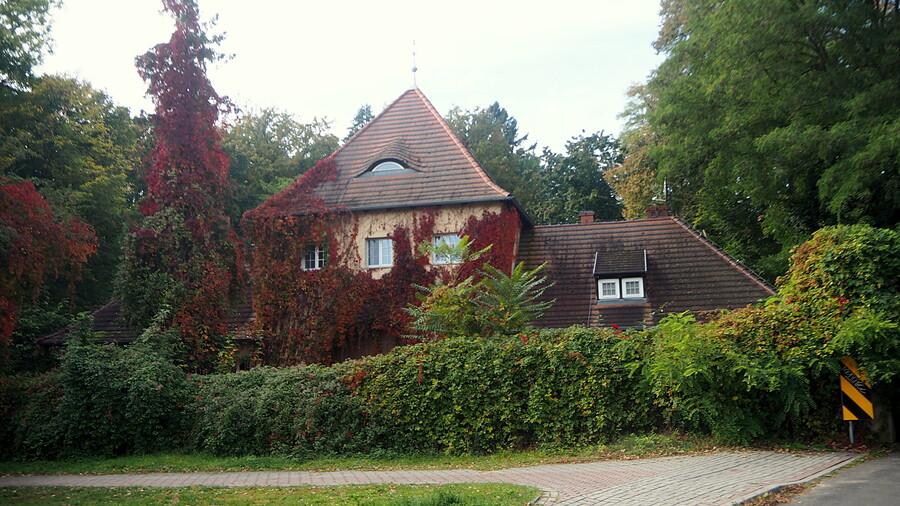 Dom pokryty bluszczem