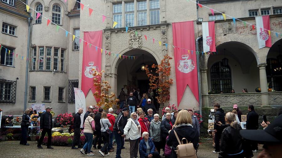 Zamek w Lubniewicach
