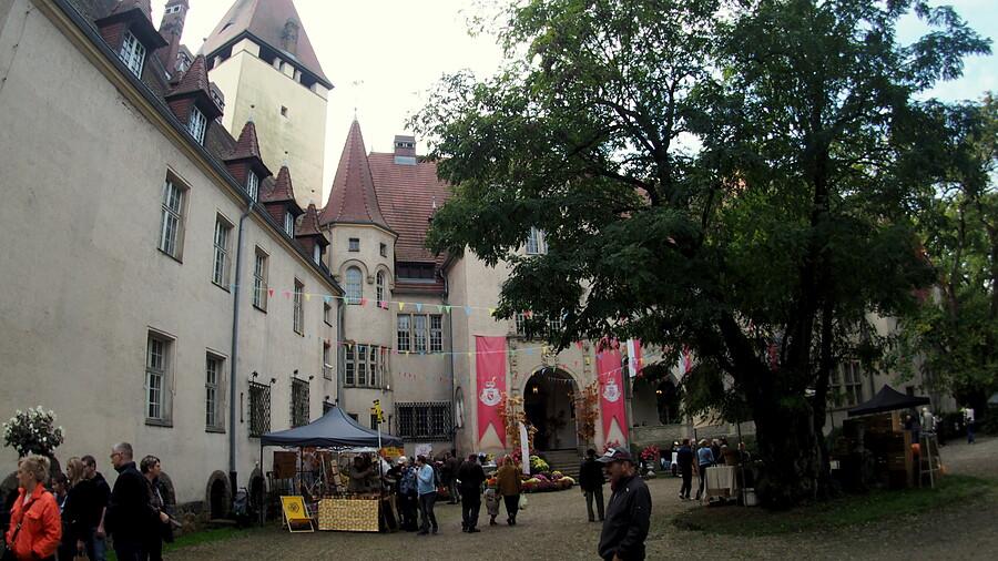 Zamek w Lubniewicach