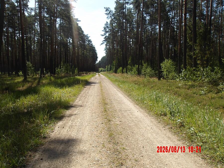 Droga z Koszęcina na Dubiele