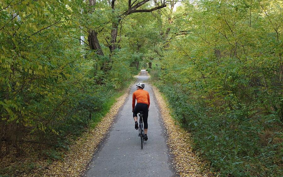 Lekko uszosowiony i jesienny MTB-owiec