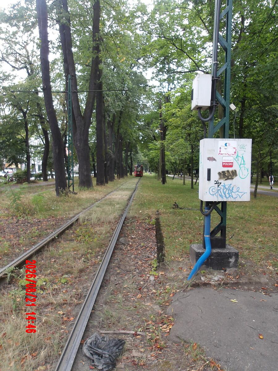Zielone torowisko tramwajowe wzdłuż Parku imienia Franciszka Kachla w Bytomiu