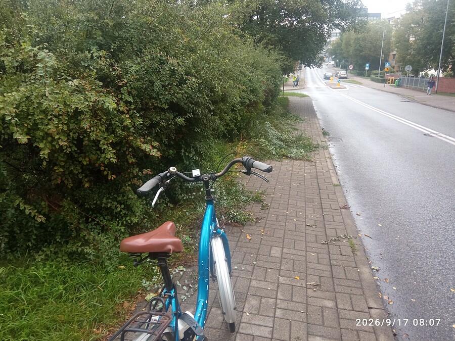 Trzeba było zrobić porządek z krzakami, które zarastały chodnik