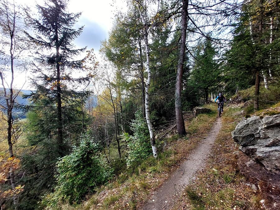 Na singletracku poniżej Wysokiego Kamienia