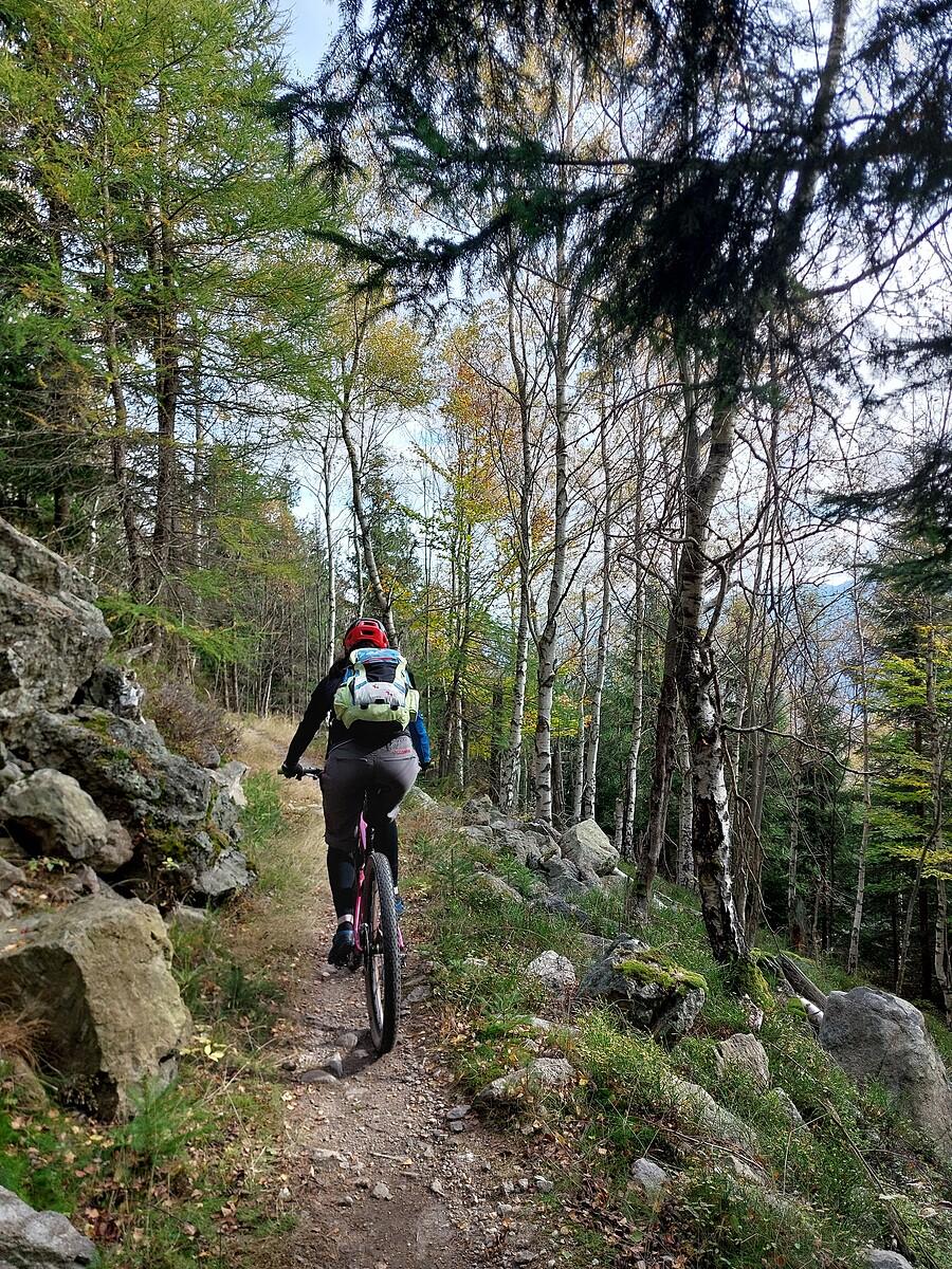 Na singletracku poniżej Wysokiego Kamienia