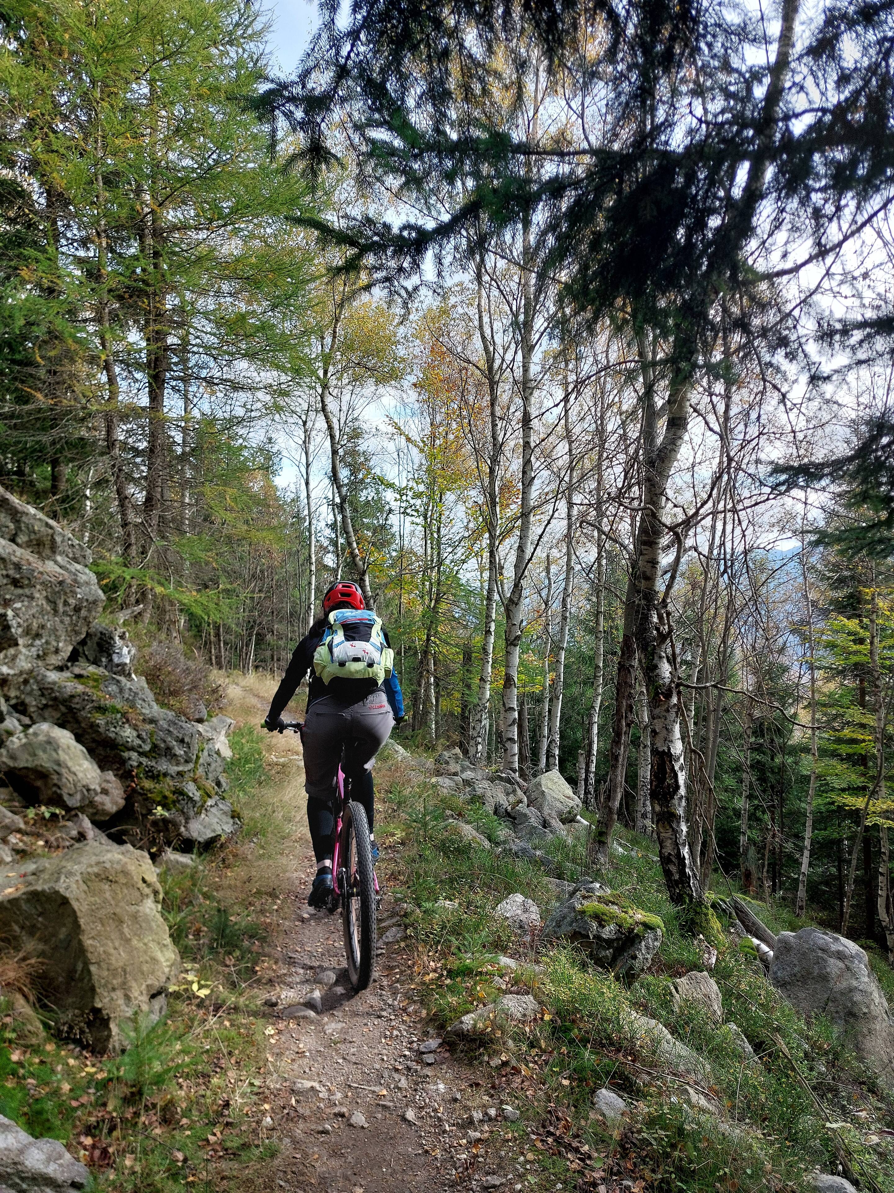 Na singletracku poniżej Wysokiego Kamienia