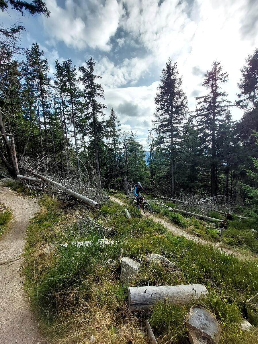 Na singletracku poniżej Wysokiego Kamienia