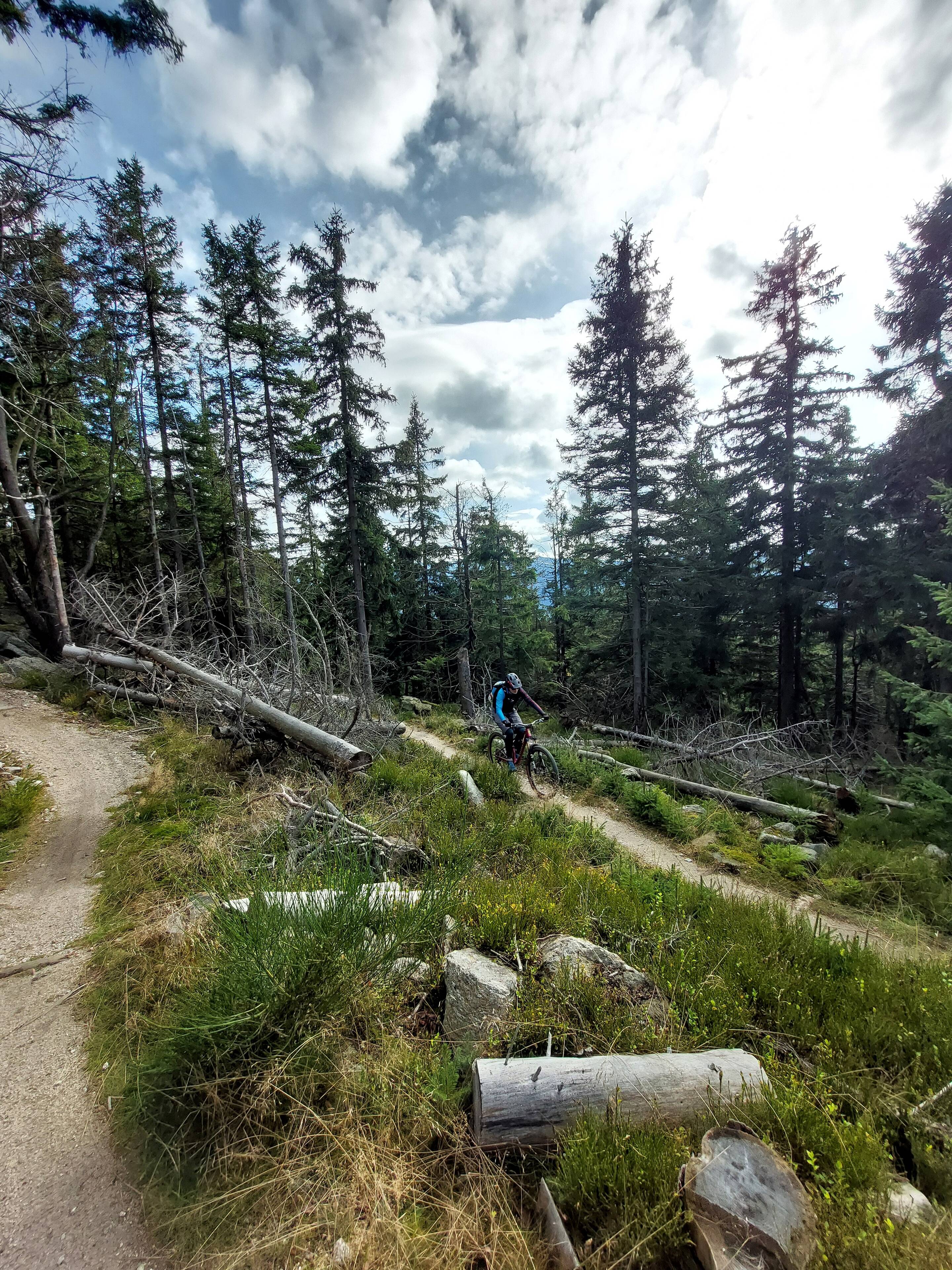 Na singletracku poniżej Wysokiego Kamienia