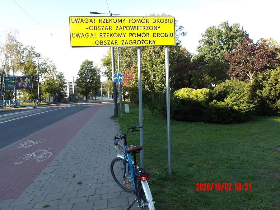Rzekomy czyli fałszywy, nieprawdziwy