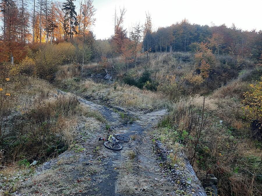 Rower leżący na leśnej ścieżce jesienią
