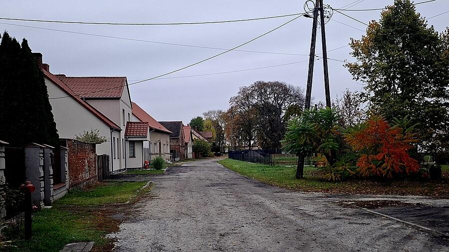 Wiejska ulica z domami